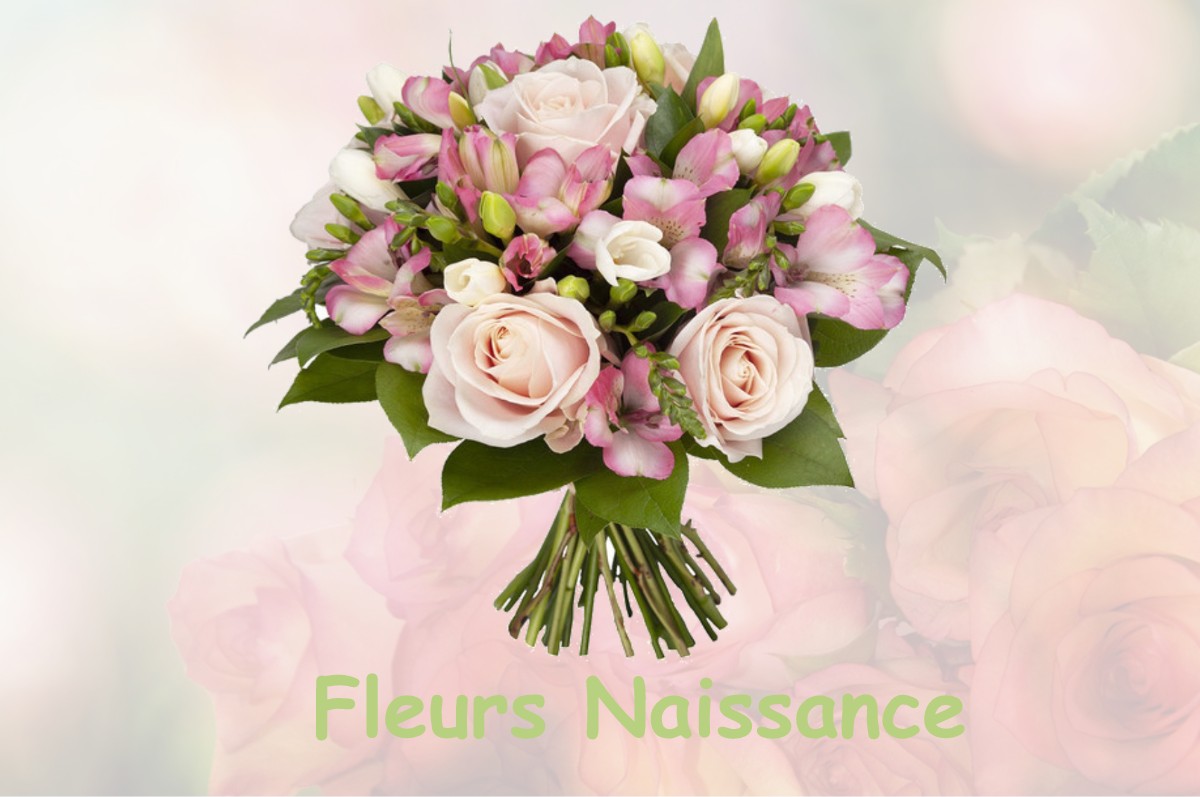 fleurs naissance SAINT-ANDRE-DE-NAJAC